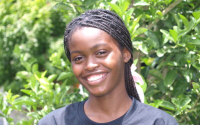 Dabélsia Massada Nema